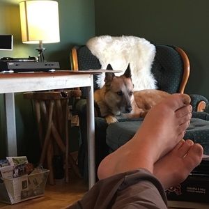 Meet your Posher, Bret